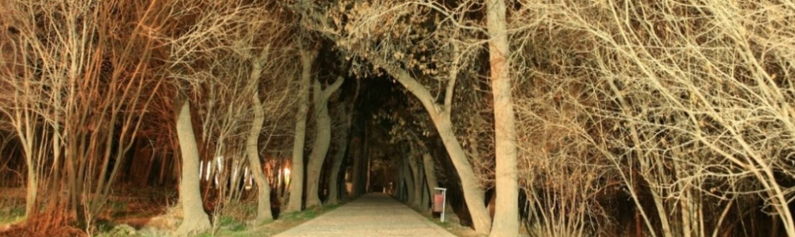 Сад Шокат Абад